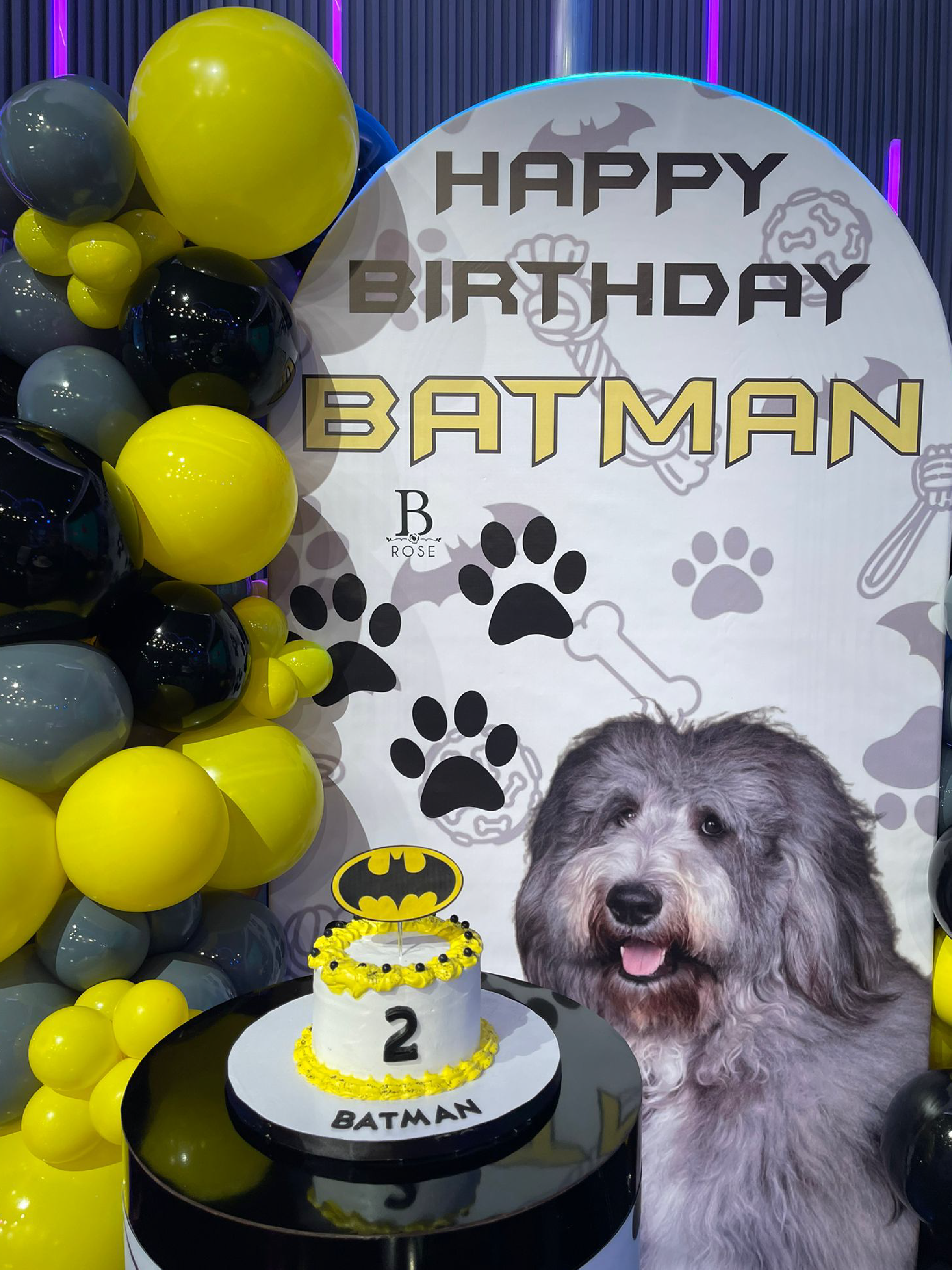 Batman's birthday - Sientese quien pueda
